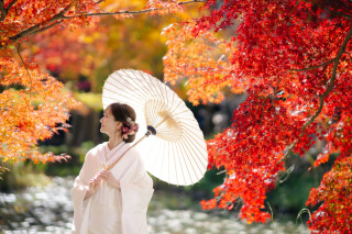 大原野神社使用料