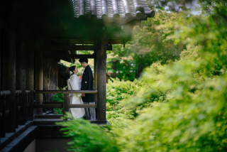 elle pupa_東福寺