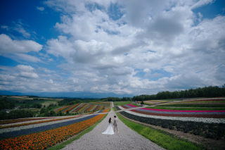 elle pupa_北海道（夏）