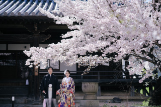 elle pupa_桜