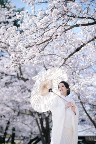elle pupa_八坂