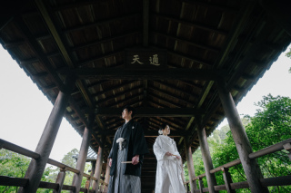 elle pupa_東福寺