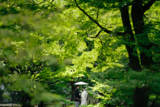 elle pupa_東福寺