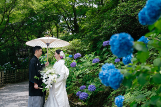 elle pupa_東福寺