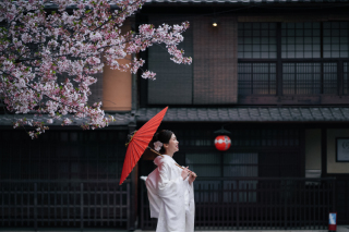 elle pupa_桜