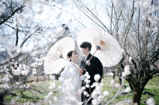 elle pupa_大覚寺