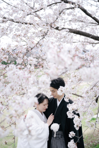 elle pupa_桜