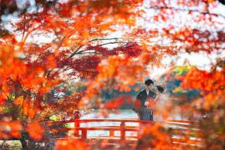 elle pupa_大覚寺
