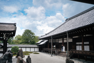 elle pupa_東福寺
