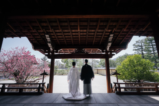 elle pupa_大覚寺