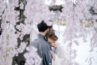 elle pupa_桜
