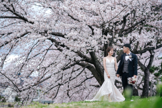 elle pupa_桜