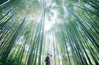 elle pupa_大覚寺