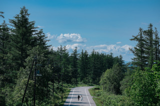 elle pupa_北海道（夏）
