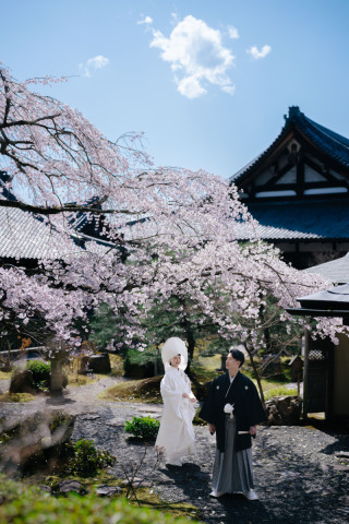 elle pupa_桜