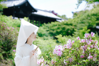 elle pupa_東福寺