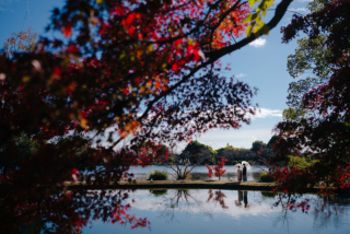 elle pupa_大覚寺
