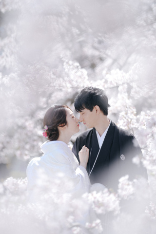 elle pupa_桜