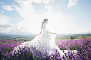 elle pupa_北海道（夏）