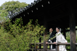 elle pupa_東福寺
