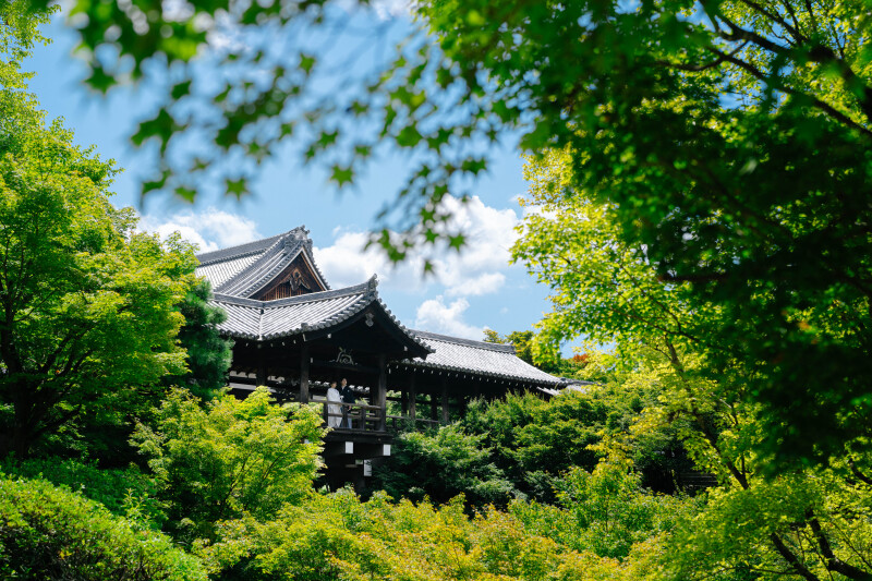 elle pupa_厳選ピックアップフォト