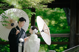 elle pupa_東福寺