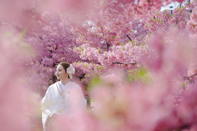 期間限定！桜シーズン 和装前撮り １着レンタルプラン