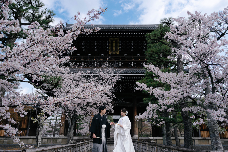 期間限定！桜シーズン 和装前撮り １着レンタルプラン