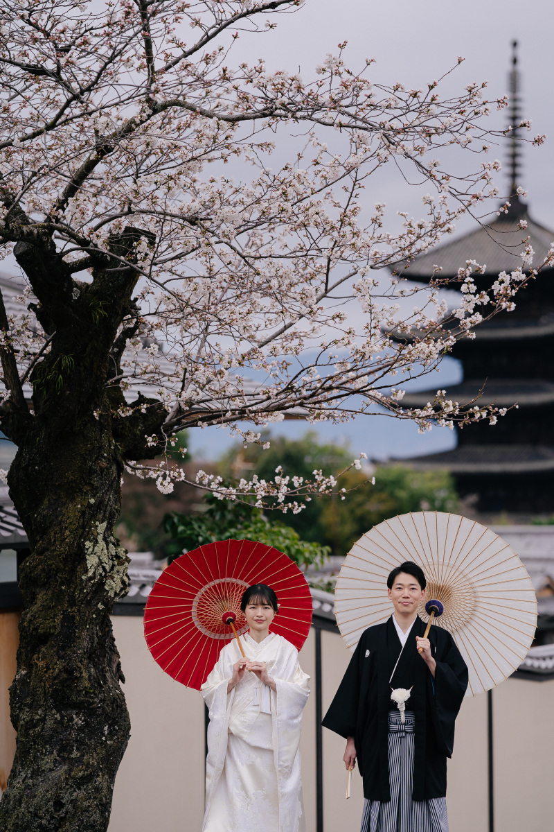 期間限定！桜シーズン 和装前撮り １着レンタルプラン