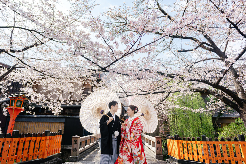 期間限定！桜シーズン 和装前撮り １着レンタルプラン