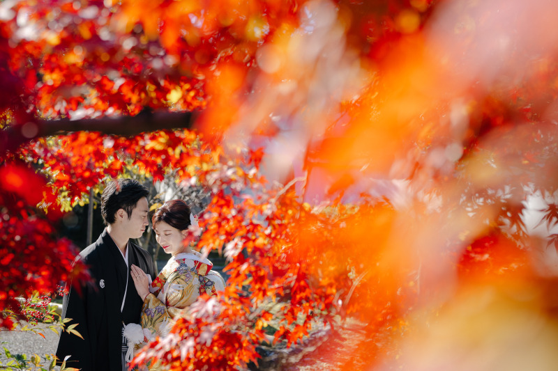期間限定!紅葉シーズン 和装前撮り 1着レンタルプラン