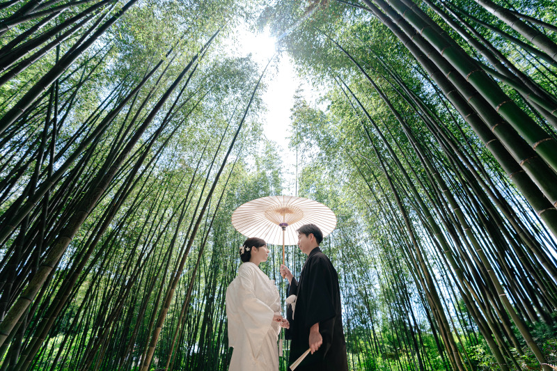 【仕上がり評価5.0の新緑フォト】京都の春を彩るロケ撮影。和装レンタル付きのよくばり新緑プラン
