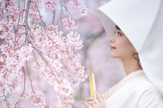 期間限定!桜シーズン 和装前撮り 1着レンタルプラン