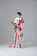 色打掛_【白練春華梅図】