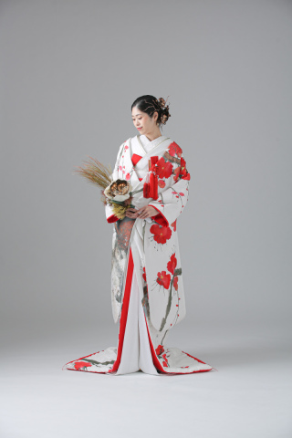 色打掛_【白練春華梅図】