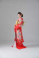 引き振袖【FU01502】