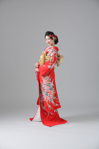 引き振袖【FU01502】