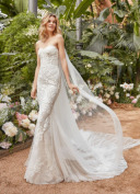 DARMERA【WD00681】