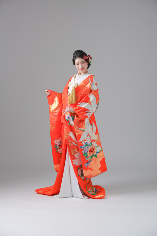 色打掛_オレンジ・鶴【IU00506】