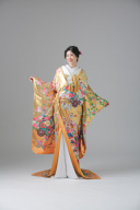 色打掛_友禅金地・花車【IU00557】