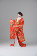 色打掛_朱花車霧文様【IU00139】