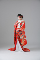 色打掛_雲取・鳳凰・蝶【IU00332】