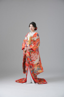 色打掛_七宝つなぎ熨斗あやめ藤【IU00594】