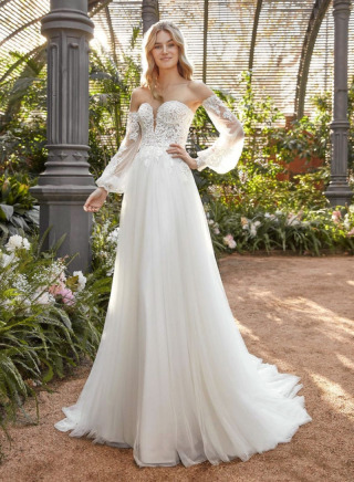 JUMELLEA【WD00892】