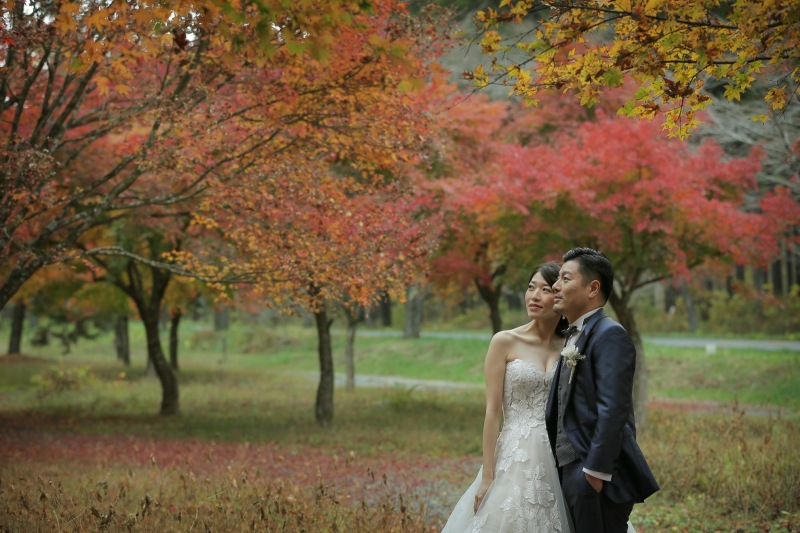 あたり一面紅葉が広がる美しい山林の公園で