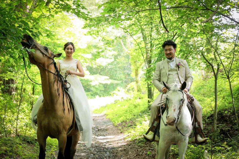 お馬さんもお腹が空いて葉っぱをパクリ