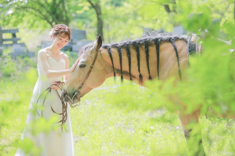 お馬さんとふれあいショット