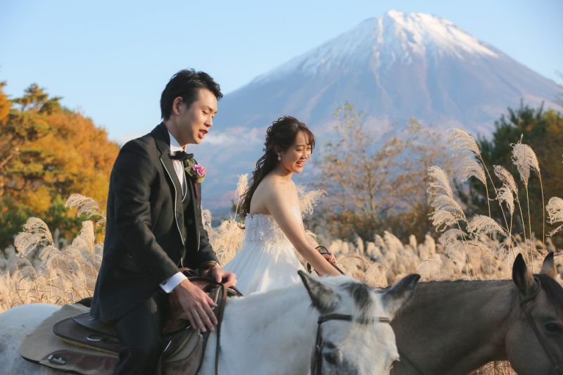 馬は二頭から借りられます。