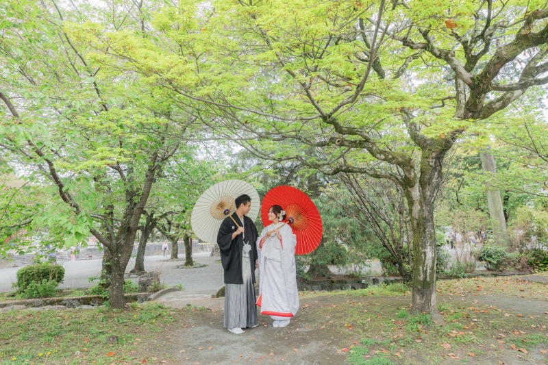 4月中旬は新緑も始まります