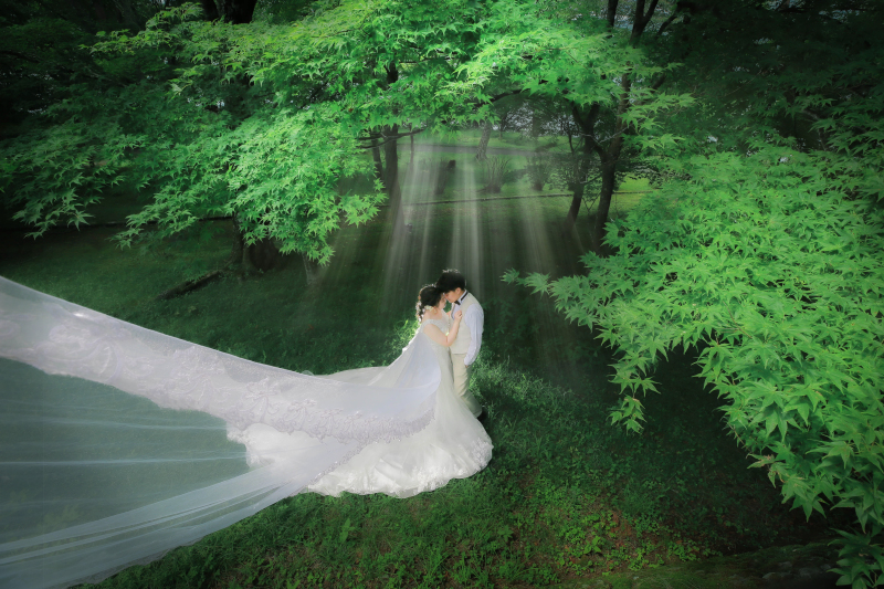 降り注ぐ新緑とかえでのロケーションフォト